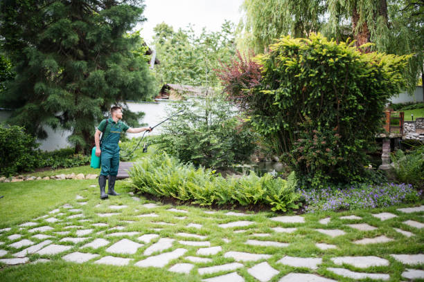 Best Wasp Removal Services  in Villa Rica, GA