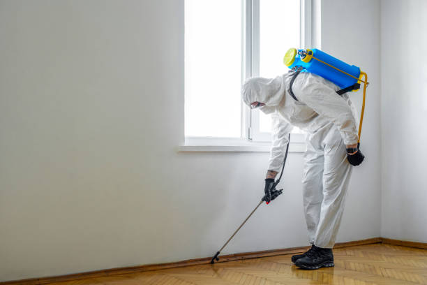 Best Commercial Pest Control Services  in Villa Rica, GA