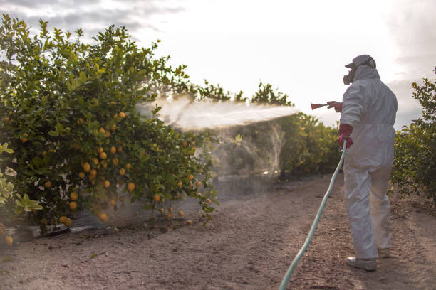 Professional Pest Control in Villa Rica, GA