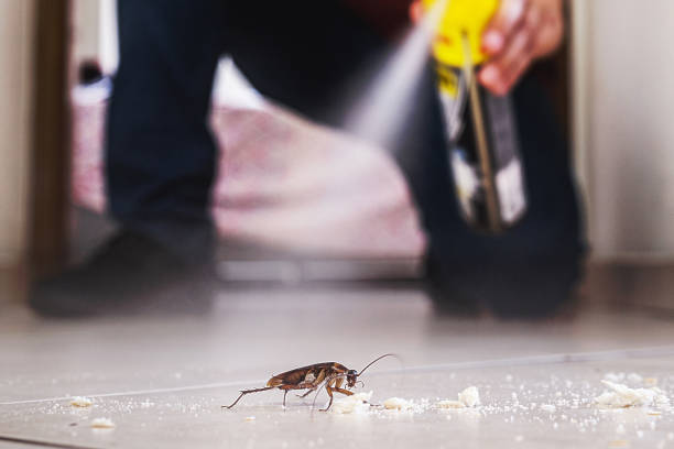 Best Residential Pest Control  in Villa Rica, GA