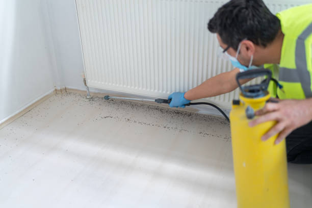 Best Best Pest Control Companies  in Villa Rica, GA