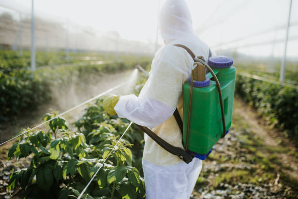 Best Flea Control Services  in Villa Rica, GA